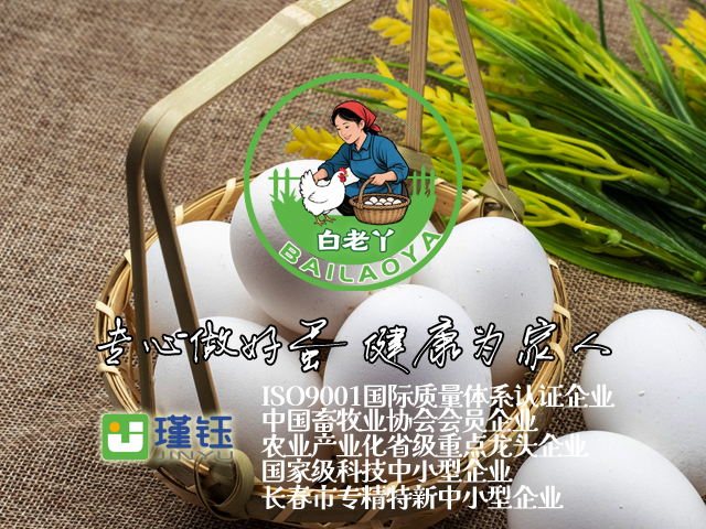 2025年12月邦加助力瑾钰生物打造首个精准营养鸡蛋“白老丫”品牌版权证书下发！ | 邦加网络传媒机构官网http://www.bangjia.net