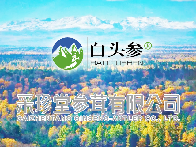【邦加客户案例】人参特产品牌：白头参