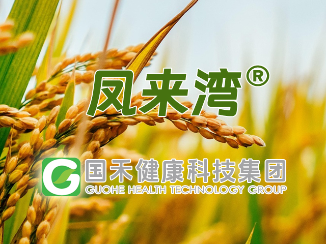 [邦加客户案例]健康农业品牌：凤来湾