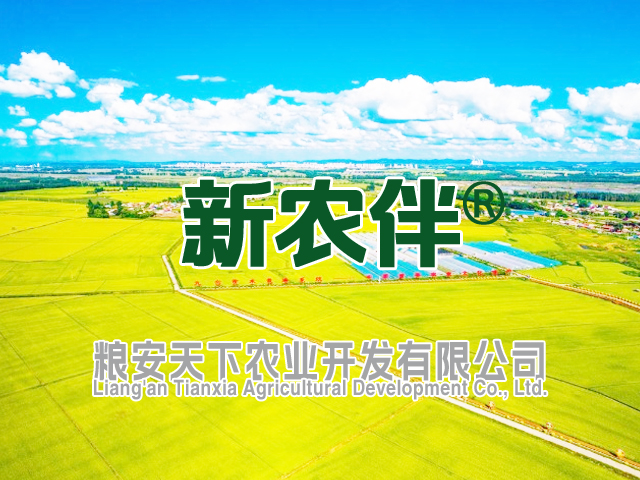 [邦加客户案例]生态农业品牌：新农伴