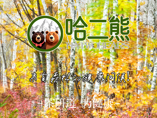 2026年2月邦加策划茶研科技旗下长白山两只熊“哈二熊”29类商标通过国家局初审! | 全国商标注册 | 邦加网络传媒机构官网http://www.bangjia.net 2026年2月邦加策划茶研科技旗下长白山两只熊“哈二熊”29类商标通过国家局初审! | 全国商标注册 | 邦加网络传媒机构官网http://www.bangjia.net