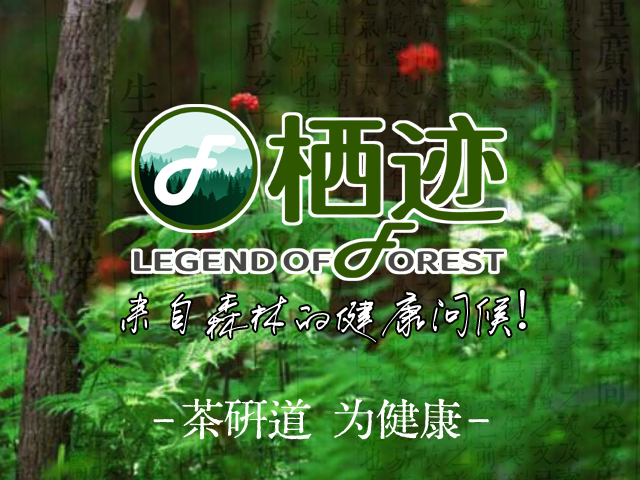 2026年2月邦加策划茶研科技旗下森林特产品牌“栖迹”5类商标通过国家局初审！