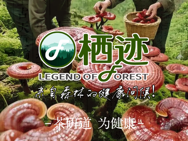 2025年12月邦加策划吉林茶研科技旗下长白山森林特产品牌“栖迹”版权证书下证！| 邦加网络传媒机构官网http://www.bangjia.net