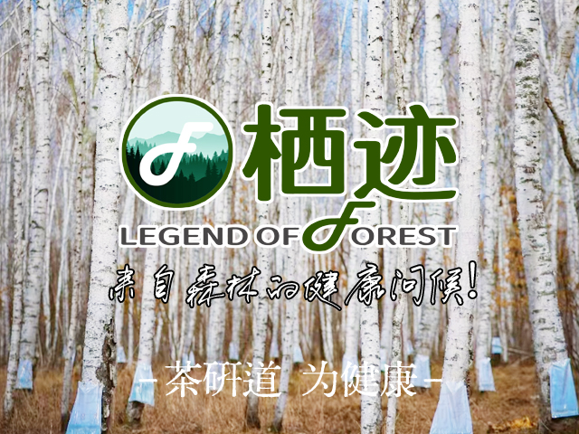 2026年2月邦加策划茶研科技旗下森林特产品牌“栖迹”5类商标通过国家局初审！| 全国商标注册 | 邦加网络传媒机构官网http://www.bangjia.net