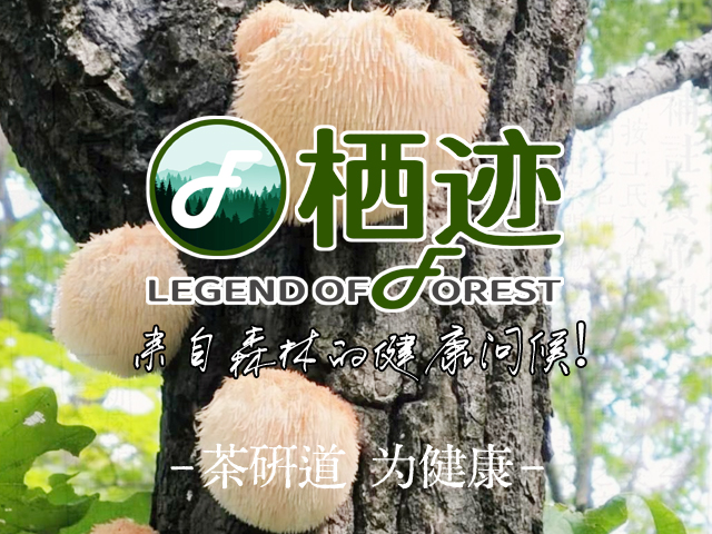 2025年12月邦加策划吉林茶研科技旗下长白山森林特产品牌“栖迹”版权证书下证！| 邦加网络传媒机构官网http://www.bangjia.net