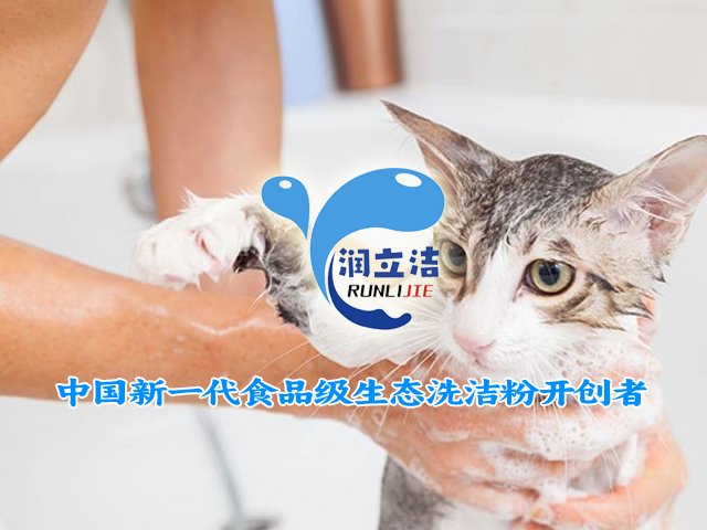 [邦加客户案例]生态洗洁粉企业：润立洁