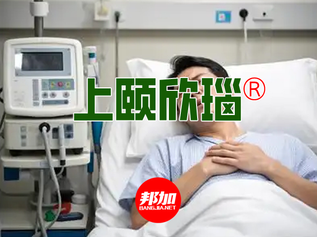 [邦加客户案例]心脑健康品牌：上颐欣瑙