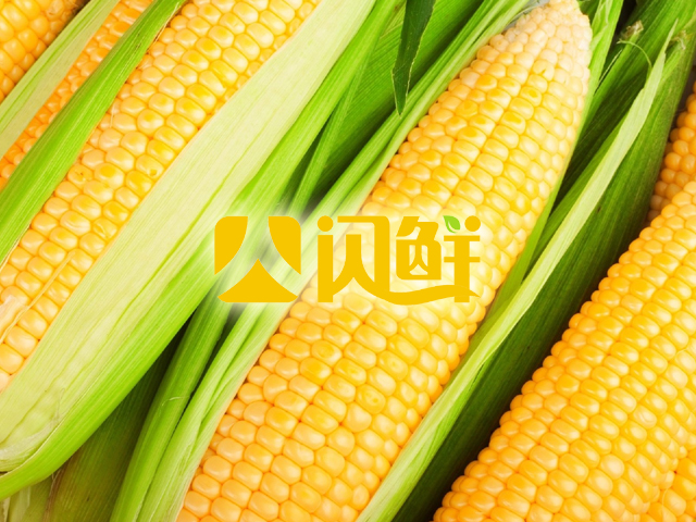 [邦加客户案例]生态农业品牌：闪鲜