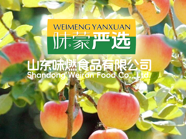 味蒙严选品牌策划 | 邦加网络传媒机构官网http://www.bangjia.net  